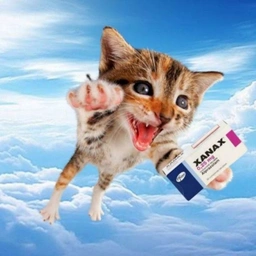 XANAX Coin: MEME Coin Flying Cat Xanax—Grab Pills & Join the Wild Ride!