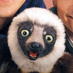 ZABOO Coin: MEME Coin Inspired by Zaboomafoo, Lemurs, Laughs & Fun