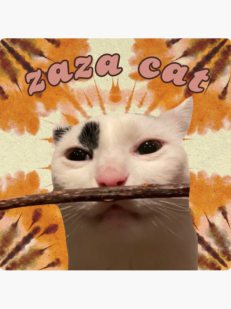 ZAZA Coin: Get your paws on ZAZA, the purrfect MEME Coin inspired by Zaza the cat.